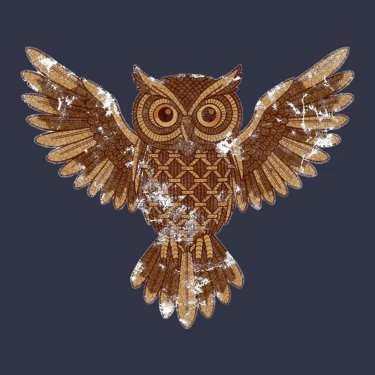 Intricate Geometric Owl Tee