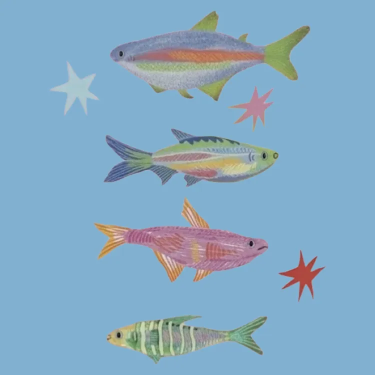 Colorful Fish with Stars