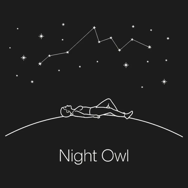 Night Owl Under Starry Sky